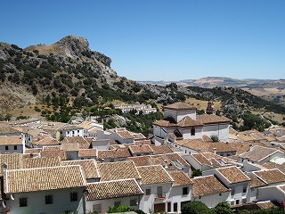 20090731_061