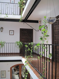 20090729_090