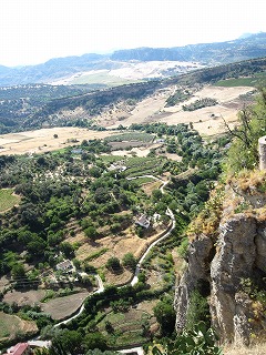 20090801_171