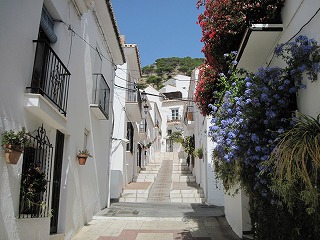 20090727_019