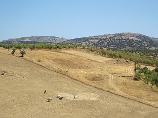 20090801_069