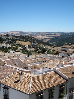 20090731_053