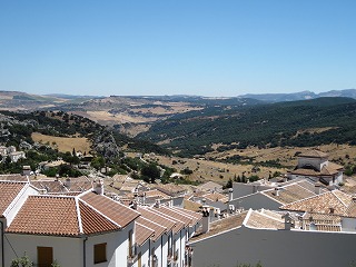 20090731_067