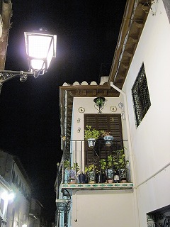20090804_181