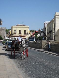 20090729_047
