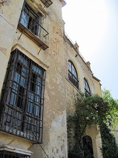 20090801_078