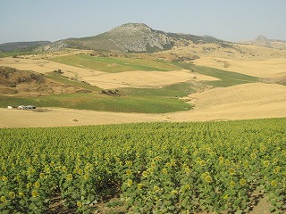 20090729_013