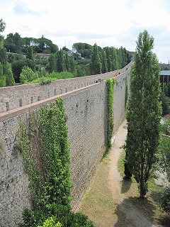 20090810_051