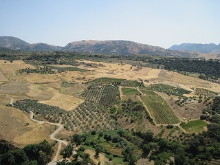 20090730_053