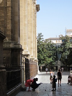 20090805_033