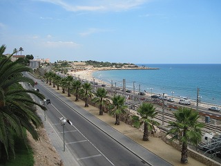 20090808_028