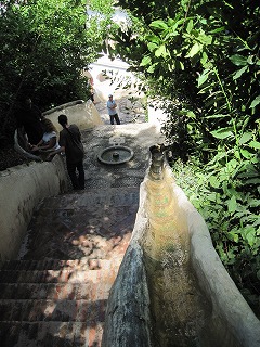 20090804_158