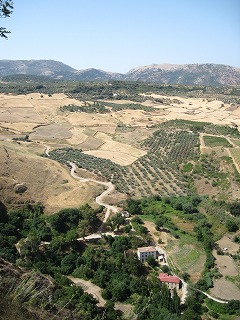 20090729_068