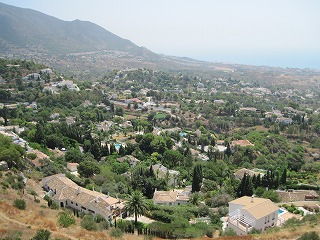 20090727_046