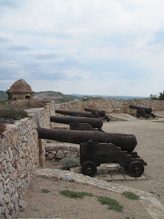 20090809_017