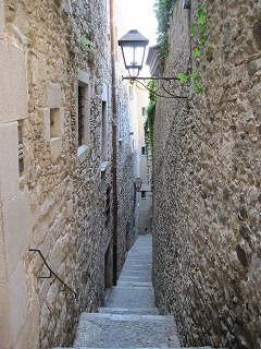20090811_120