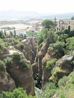 20090729_053