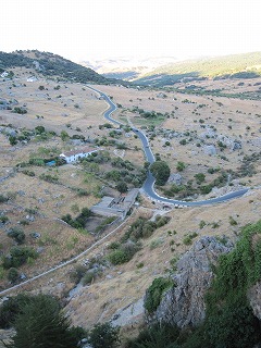 20090730_078