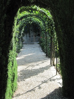 20090804_138