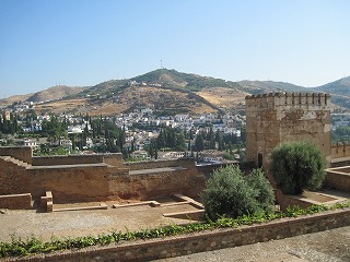 20090804_091
