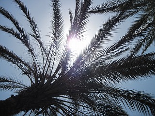 20090728_010
