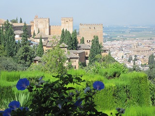 20090804_166