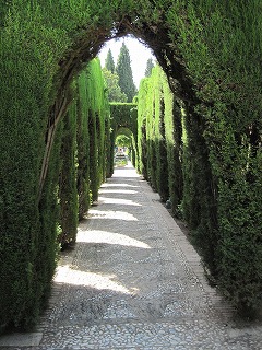 20090804_137