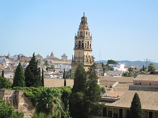 20090725_085