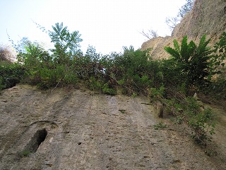 20090801_103