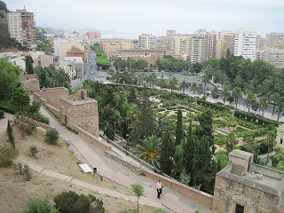 20090726_073