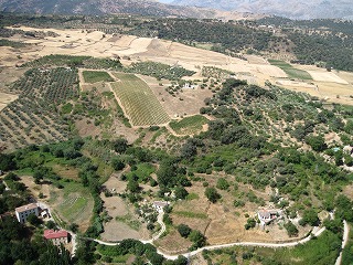 20090729_065
