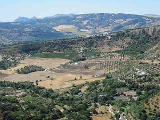 20090801_158