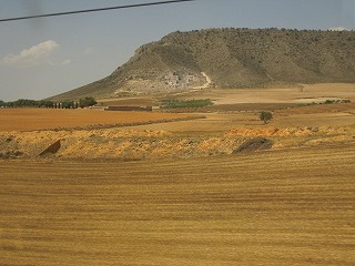 20090806_019
