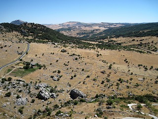 20090731_025