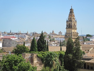 20090725_086