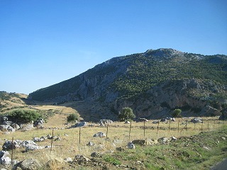 20090730_063