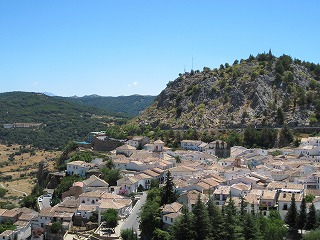 20090731_088