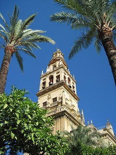 20090725_072
