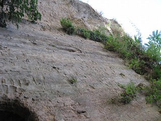 20090801_122