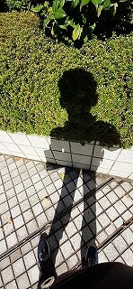 s-20211029_123953