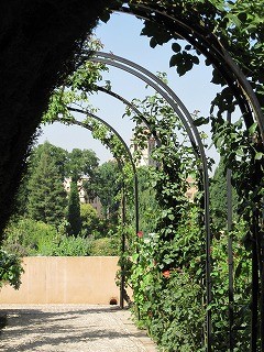 20090804_135