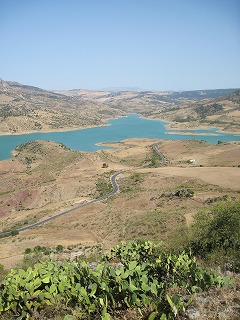 20090729_151
