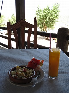 20090730_041