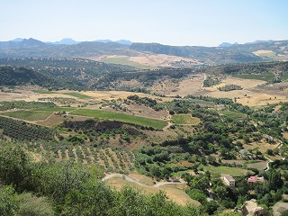 20090801_156
