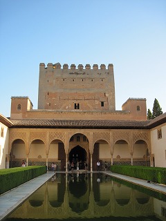 20090804_041