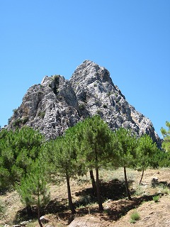 20090731_069