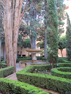 20090804_071