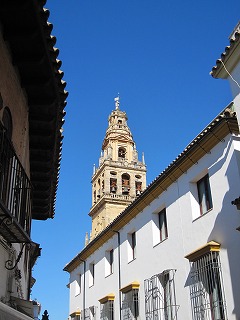20090724_049