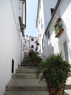20090730_033