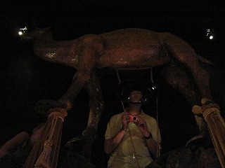 20090811_039